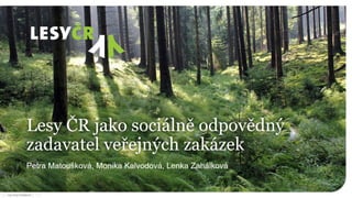 Ukázka prezentace na míru | Lesy ČR