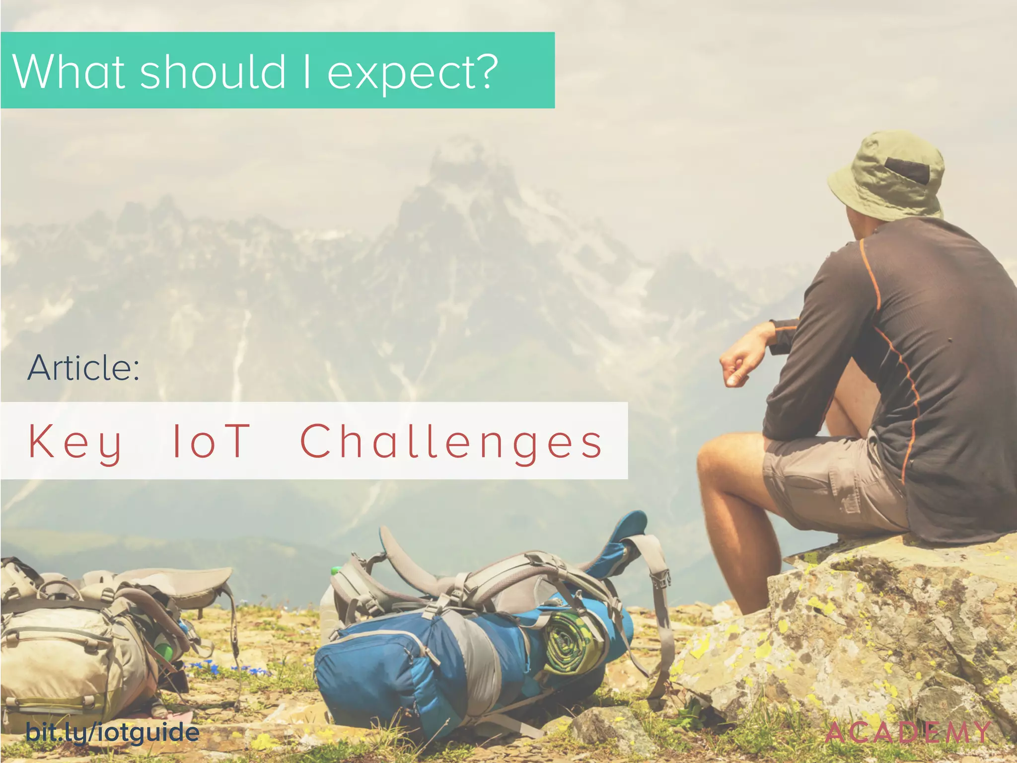 What should I expect? 
Article: 
Key IoT Challenges 
bit.ly/iotguide 
 