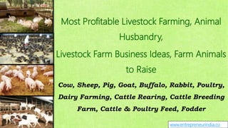 Most Profitable Livestock Farming, Animal
Husbandry,
Livestock Farm Business Ideas, Farm Animals
to Raise
Cow, Sheep, Pig, Goat, Buffalo, Rabbit, Poultry,
Dairy Farming, Cattle Rearing, Cattle Breeding
Farm, Cattle & Poultry Feed, Fodder
www.entrepreneurindia.co
 