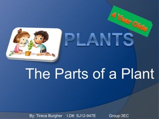 The Parts of a Plant
By: Tireca Burgher I.D#: SJ12-947E Group:3EC
 
