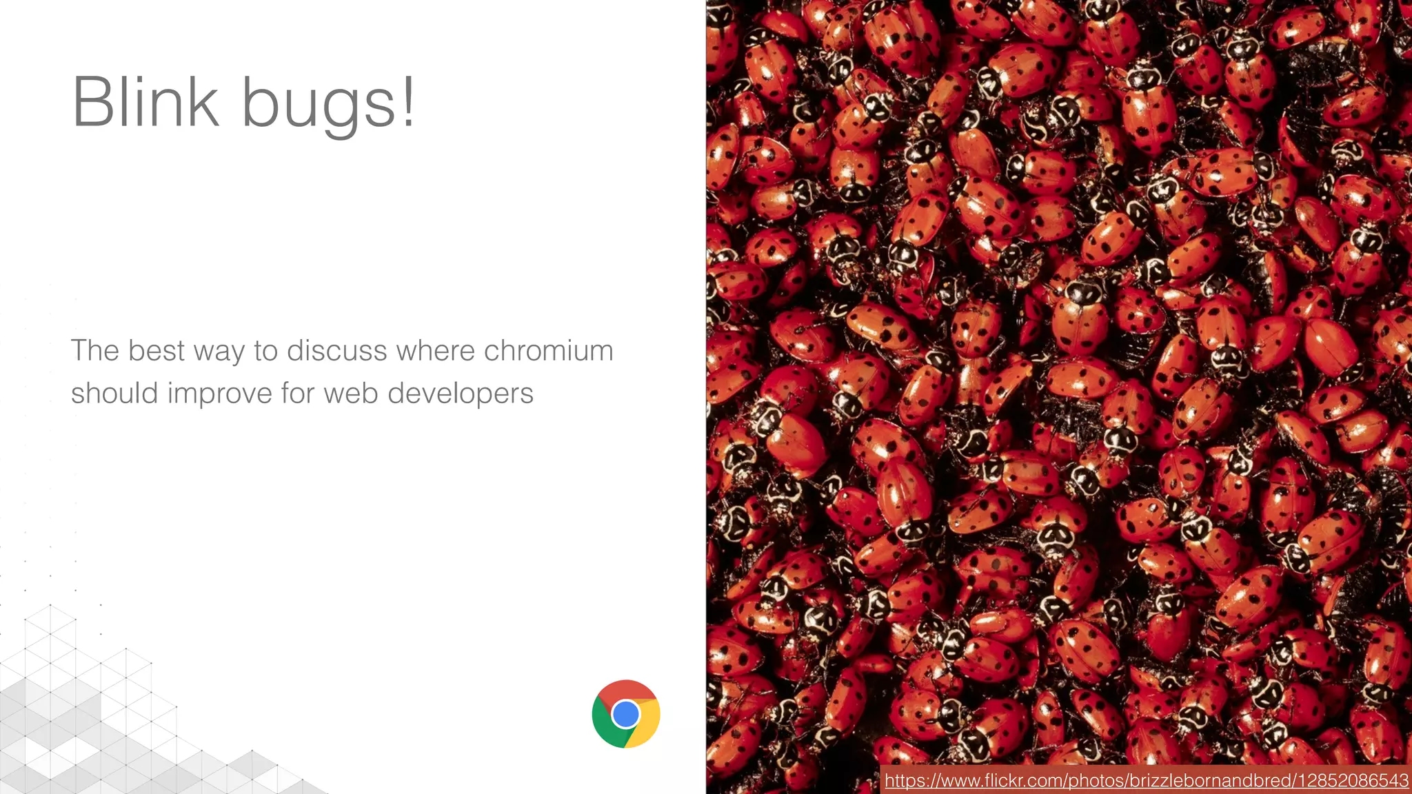 Blink bugs!
The best way to discuss where chromium
should improve for web developers
https://www.ﬂickr.com/photos/brizzlebornandbred/12852086543
 