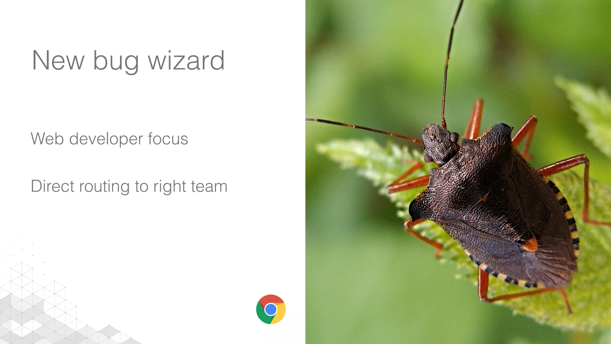New bug wizard
Web developer focus
Direct routing to right team
 