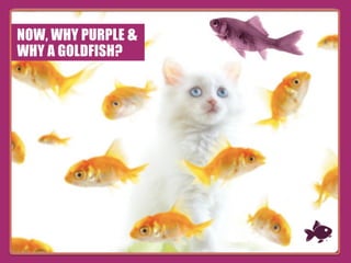 THE INAUGURAL HALL OF FAMERSNOW, WHY PURPLE &
WHY A GOLDFISH?
 