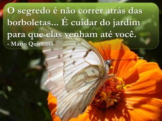 O segredo é não correr atrás das
borboletas... É cuidar do jardim
para que elas venham até você.
- Mário Quintana
 