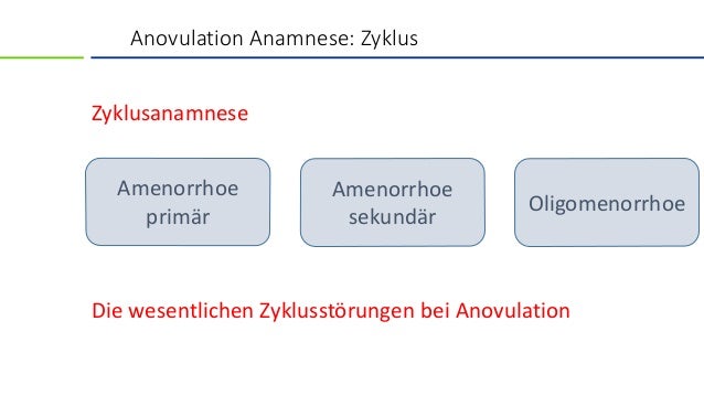 download management multinationaler unternehmungen