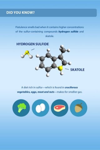 What Causes Excessive Gas? (And Other Fast Facts About Flatulence)