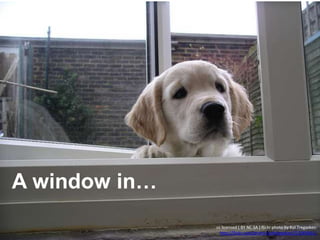 A window in…
cc licensed ( BY NC SA ) flickr photo by Kol Tregaskes:
http://flickr.com/photos/koltregaskes/213069641/
 