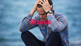 Stress
 