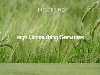 Introducing sqn Consulting Services 