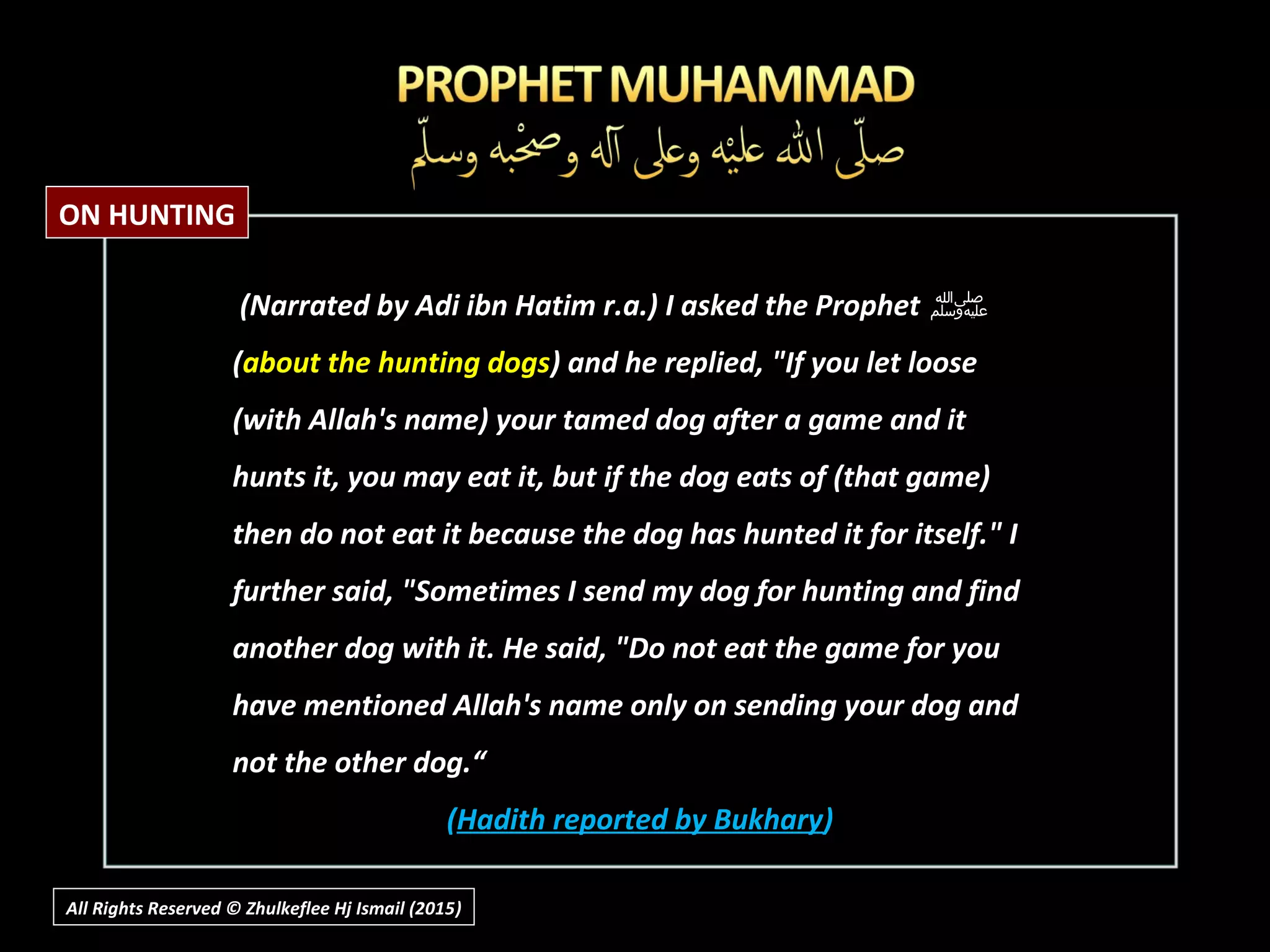 All Rights Reserved © Zhulkeflee Hj Ismail (2015))
(Narrated by Adi ibn Hatim r.a.) I asked the Prophet(Narrated by Adi ibn Hatim r.a.) I asked the Prophet ‫ﷺ‬‫ﷺ‬
((about the hunting dogsabout the hunting dogs) and he replied, "If you let loose) and he replied, "If you let loose
(with Allah's name) your tamed dog after a game and it(with Allah's name) your tamed dog after a game and it
hunts it, you may eat it, but if the dog eats of (that game)hunts it, you may eat it, but if the dog eats of (that game)
then do not eat it because the dog has hunted it for itself." Ithen do not eat it because the dog has hunted it for itself." I
further said, "Sometimes I send my dog for hunting and findfurther said, "Sometimes I send my dog for hunting and find
another dog with it. He said, "Do not eat the game for youanother dog with it. He said, "Do not eat the game for you
have mentioned Allah's name only on sending your dog andhave mentioned Allah's name only on sending your dog and
not the other dog.“not the other dog.“
((Hadith reported by BukharyHadith reported by Bukhary))
ON HUNTING
 