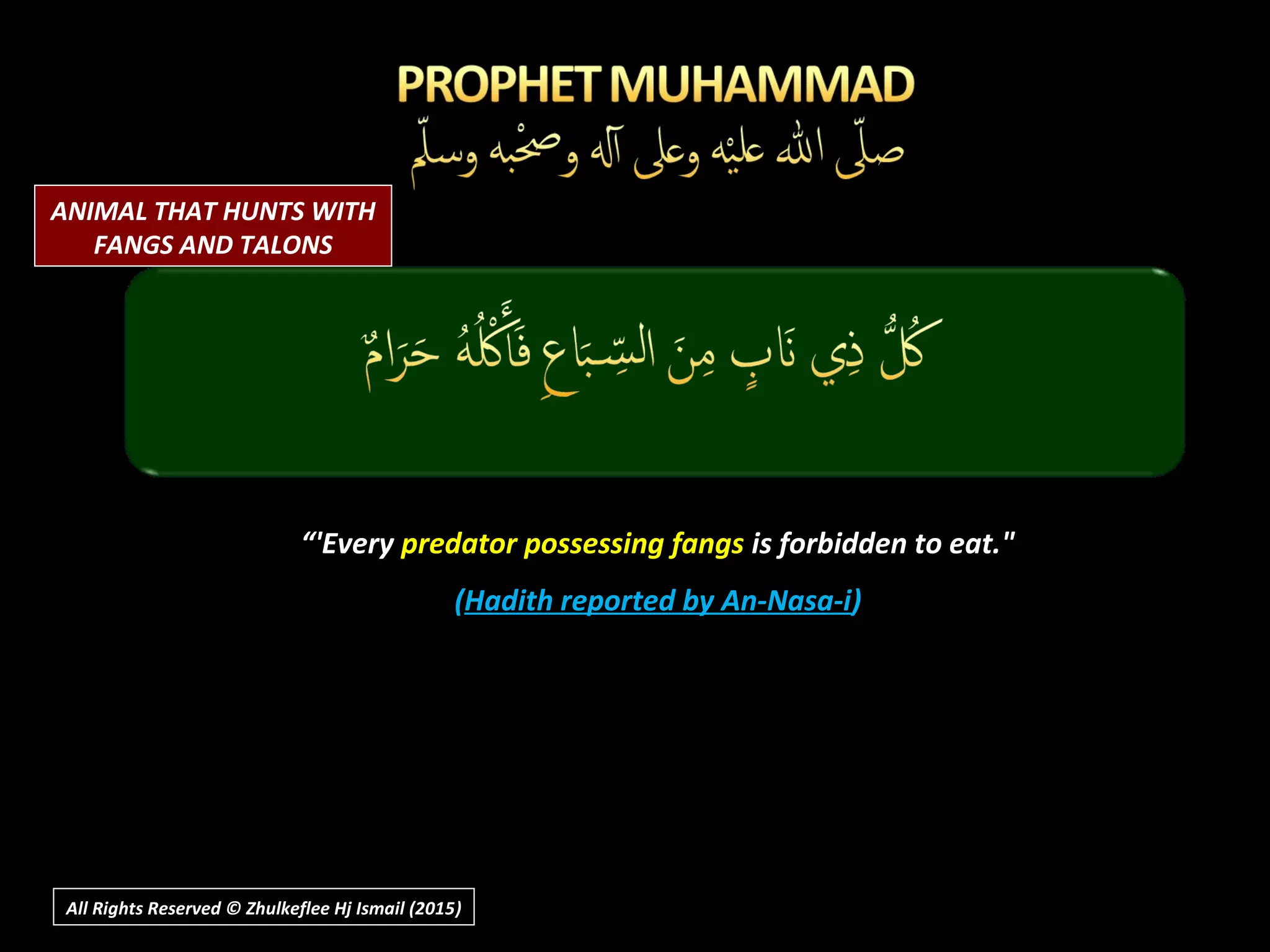 “'Every predator possessing fangs is forbidden to eat."
(Hadith reported by An-Nasa-i)
All Rights Reserved © Zhulkeflee Hj Ismail (2015))
ANIMAL THAT HUNTS WITH
FANGS AND TALONS
 