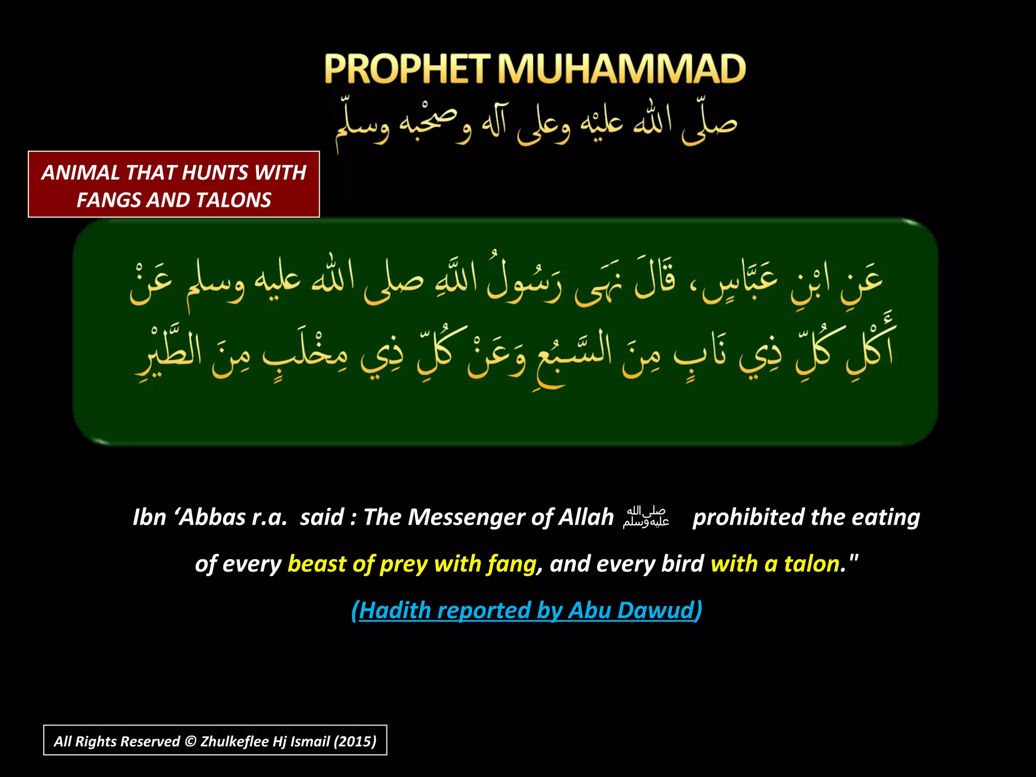 Ibn ‘Abbas r.a. said : The Messenger of Allah ‫ﷺ‬ prohibited the eating
of every beast of prey with fang, and every bird with a talon."
(Hadith reported by Abu Dawud)
All Rights Reserved © Zhulkeflee Hj Ismail (2015))
ANIMAL THAT HUNTS WITH
FANGS AND TALONS
 