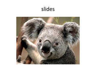 slides
 