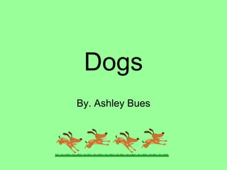 Dogs By. Ashley Bues 