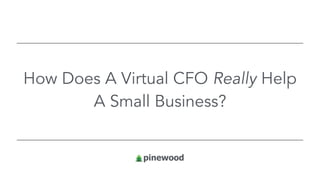 How Does A Virtual CFO Really Help
A Small Business?
 