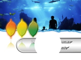 Studying Human
Development
Studying Human
Development
 