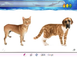 AgingAdulthood
Immunize
Adolescence
Infancy
Erikson
Pregnancy
AinsworthTemperLanguageVygotskyPiaget
ConjoinedTwinsDNAHeredityMethods
 