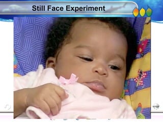 AgingAdulthood
Immunize
Adolescence
Infancy
Erikson
Pregnancy
AinsworthTemperLanguageVygotskyPiaget
ConjoinedTwinsDNAHeredityMethods
Still Face Experiment
 