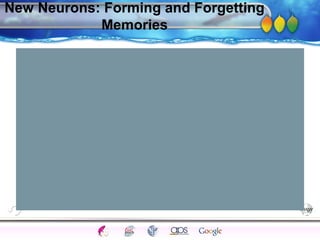 AgingAdulthood
Immunize
Adolescence
Infancy
Erikson
Pregnancy
AinsworthTemperLanguageVygotskyPiaget
ConjoinedTwinsDNAHeredityMethods
New Neurons: Forming and Forgetting
Memories
 