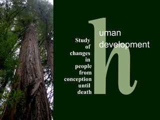 uman
development
Study
of
changes
in
people
from
conception
until
death
 