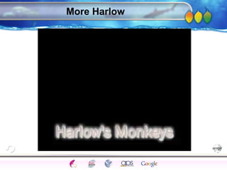 AgingAdulthood
Immunize
Adolescence
Infancy
Erikson
Pregnancy
AinsworthTemperLanguageVygotskyPiaget
ConjoinedTwinsDNAHeredityMethods
More Harlow
 