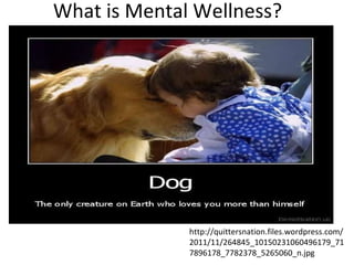 What is Mental Wellness? http://quittersnation.files.wordpress.com/2011/11/264845_10150231060496179_717896178_7782378_5265060_n.jpg 