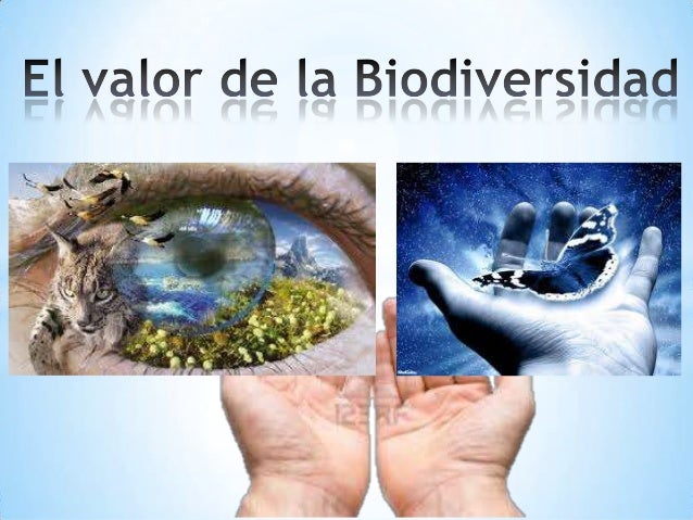 El valor de la Biodiversidad