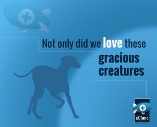 Not only did we love these

gracious
creatures

 