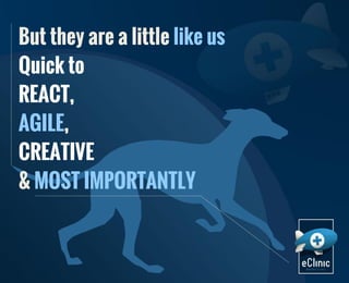 But they are a little like us
Quick to
REACT,
AGILE,
CREATIVE
& MOST IMPORTANTLY

 