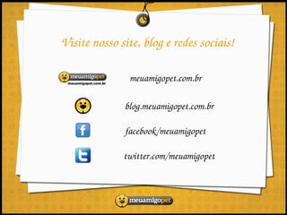 Visite nosso site, blog e redes sociais!

               meuamigopet.com.br

              blog.meuamigopet.com.br

              facebook/meuamigopet

              twitter.com/meuamigopet
 