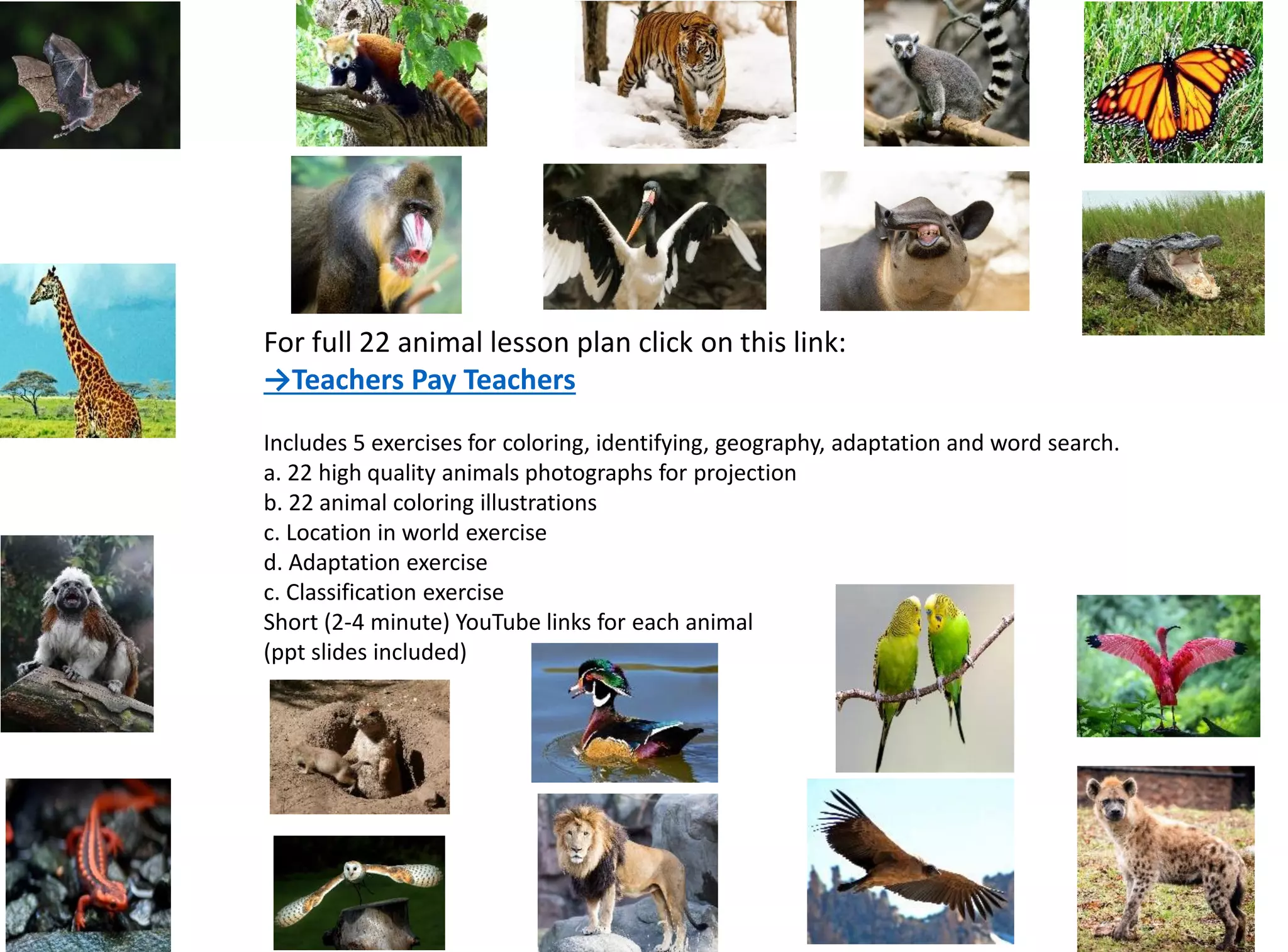For full 22 animal lesson plan click on this link:
→Teachers Pay Teachers
Includes 5 exercises for coloring, identifying, geography, adaptation and word search.
a. 22 high quality animals photographs for projection
b. 22 animal coloring illustrations
c. Location in world exercise
d. Adaptation exercise
c. Classification exercise
Short (2-4 minute) YouTube links for each animal
(ppt slides included)
 