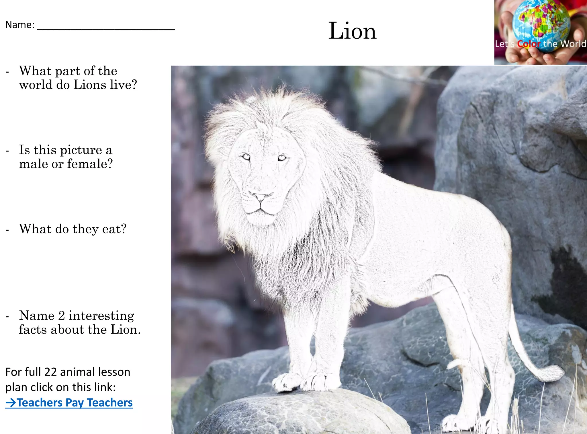 Lion
- What part of the
world do Lions live?
- Is this picture a
male or female?
- What do they eat?
- Name 2 interesting
facts about the Lion.
Name: _________________________
For full 22 animal lesson
plan click on this link:
→Teachers Pay Teachers
 