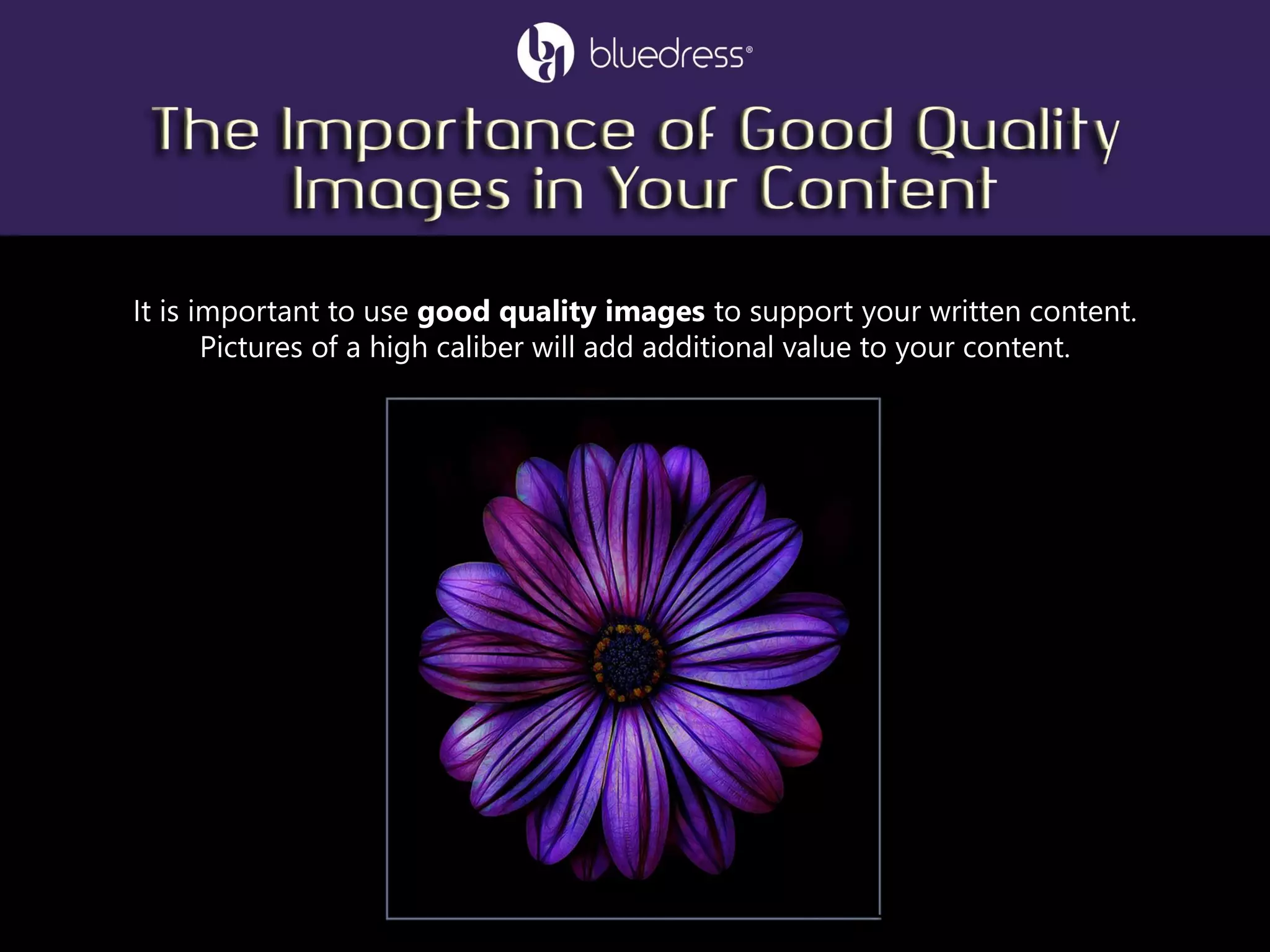 It is important to use good quality images to support your written content.
Pictures of a high caliber will add additional value to your content.