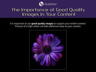 It is important to use good quality images to support your written content.
Pictures of a high caliber will add additional value to your content.
 