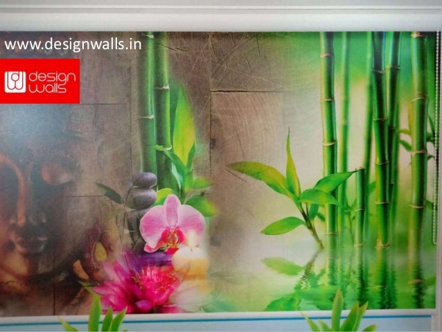 66 Aquarium Design Hyderabad Gratis Terbaik