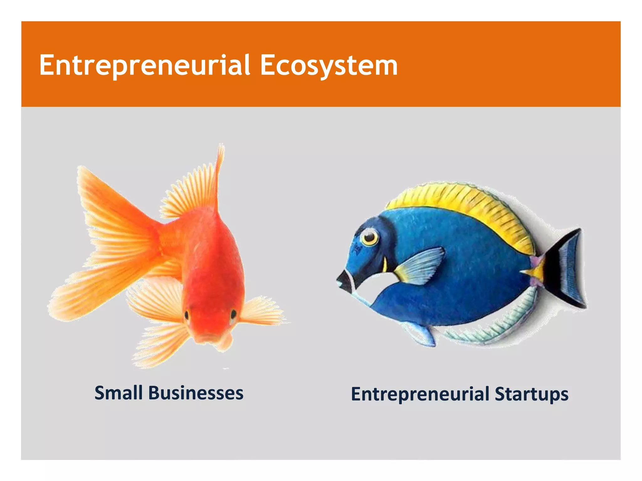 Entrepreneurial Ecosystem




   Small Businesses   Entrepreneurial Startups
 