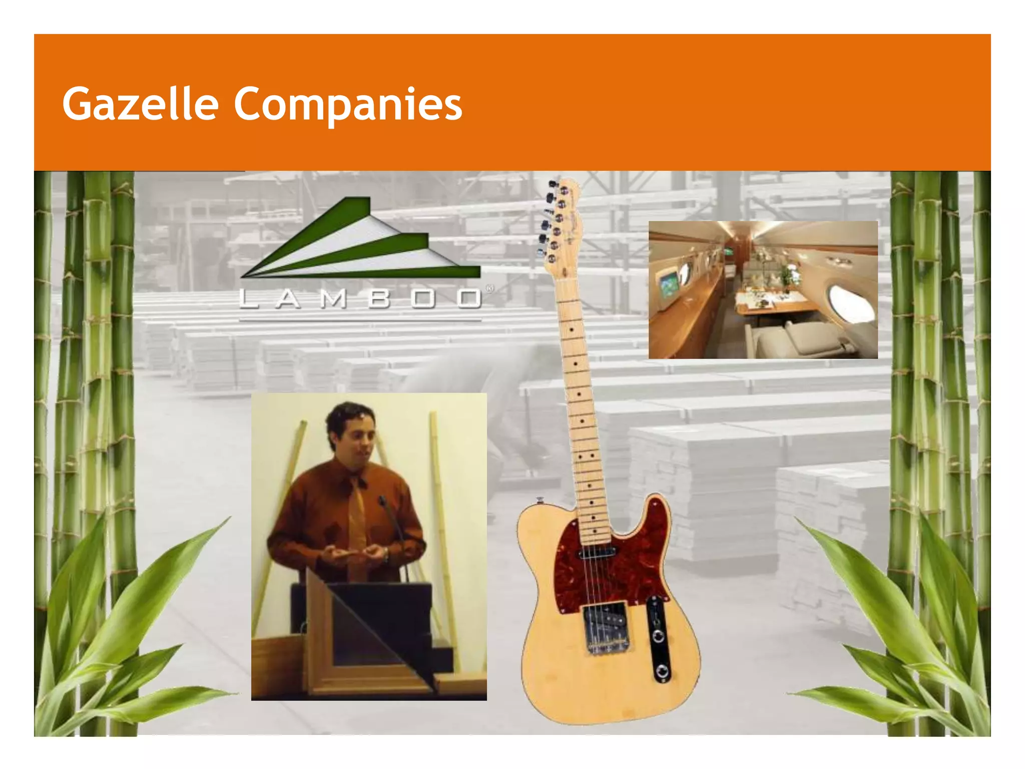 Gazelle Companies
 