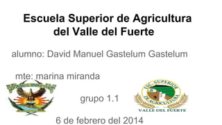 Escuela Superior de Agricultura
del Valle del Fuerte
alumno: David Manuel Gastelum Gastelum
mte: marina miranda
grupo 1.1
6 de febrero del 2014

 