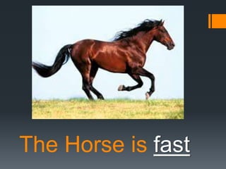 The Horse is fast

 
