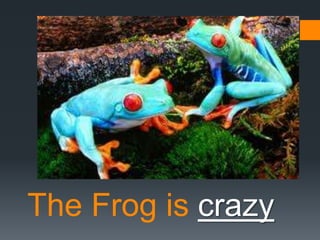 The Frog is crazy

 