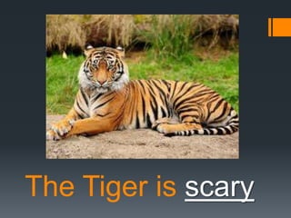 The Tiger is scary

 