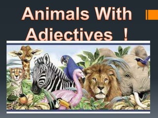 Animals with adjectives !