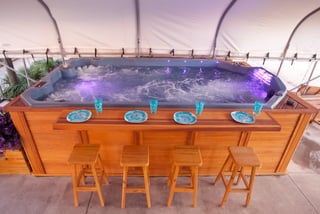 Swim Spa with Bar and 4 stools package