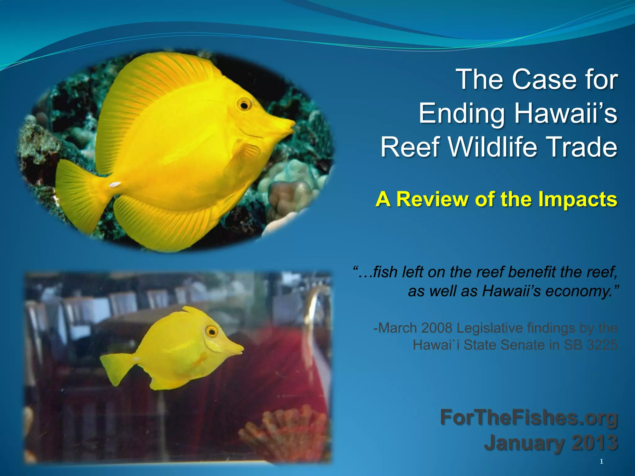 Oahu Aquarium Trade Impacts PPT