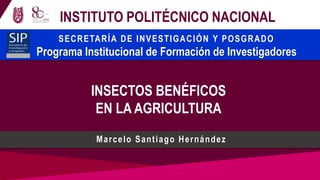 INSTITUTO POLITÉCNICO NACIONAL
INSECTOS BENÉFICOS
EN LA AGRICULTURA
Marcelo Santiago Hernández
SECRETARÍA DE INVESTIGACIÓN Y POSGRADO
Programa Institucional de Formación de Investigadores
 