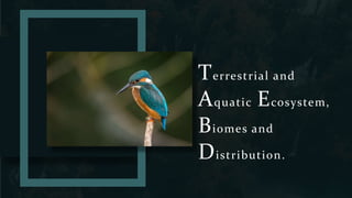 Terrestrial and
Aquatic Ecosystem,
Biomes and
Distribution..
 