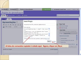 A linha de comandos copiada é colada aqui.  Agora, clique em Next 