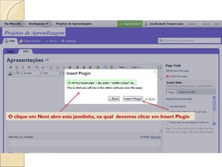 O clique em Next abre esta janelinha, na qual  devemos clicar em Insert Plugin 