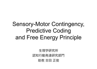 Sensory-Motor Contingency,
Predictive Coding
and Free Energy Principle
生理学研究所
認知行動発達研究部門
助教 吉田 正俊
 