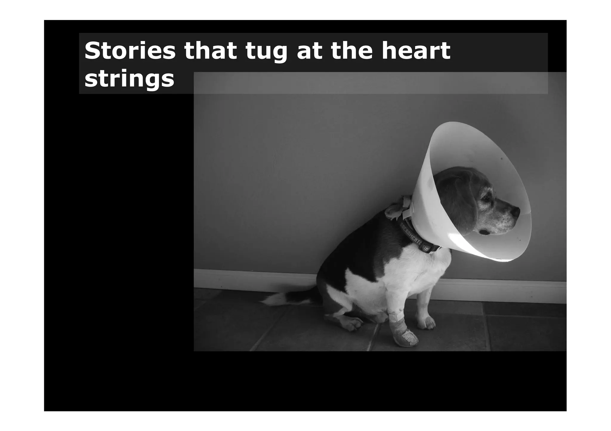 PBS Presentation - Final Presentation